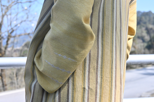 Kimono (Motive)